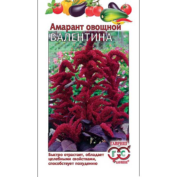 Амарант Валентина Гавриш Ц 