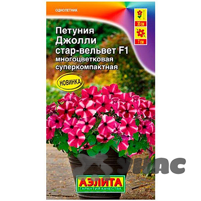 Петуния Джолли Стар вельвет Аэлита Ц 
