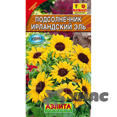 Подсолнечник Ирландский эль Аэлита Ц 