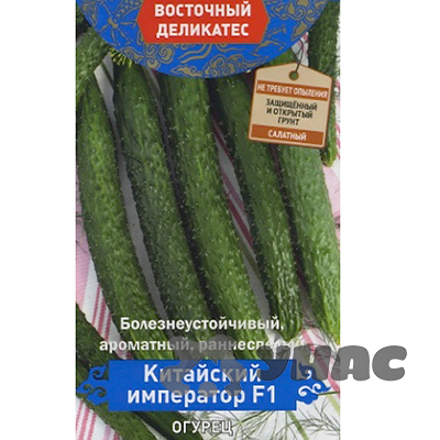 Огурец Китайский император Поиск Ц