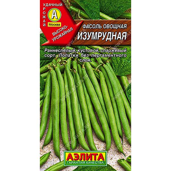 Фасоль Изумрудная Аэлита Ц