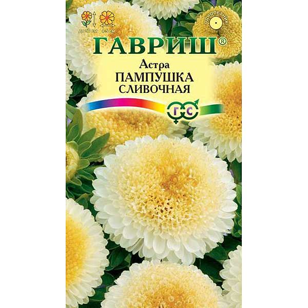 Астра Пампушка сливочная Гавриш Ц 