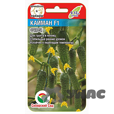 Огурец Кайман СибСад Ц