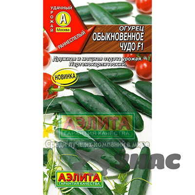 Огурец Обыкновенное чудо Аэлита Ц