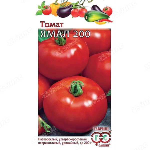 Семена Томат Ямал-200 Гавриш