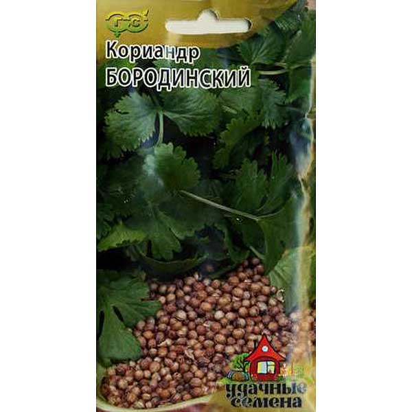 Кориандр Бородинский Удачные Семена Гавриш Ц