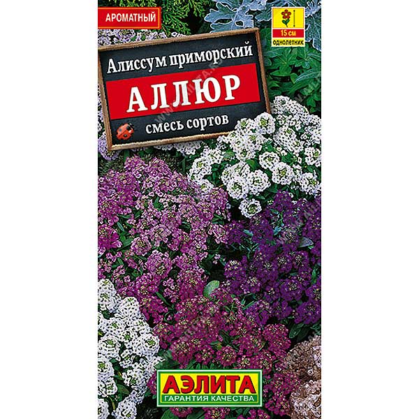 Алиссум Аллюр смесь  Аэлита Ц 