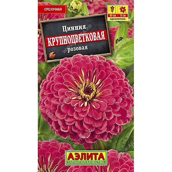 Циния Крупноцветковая розовая Аэлита Ц 