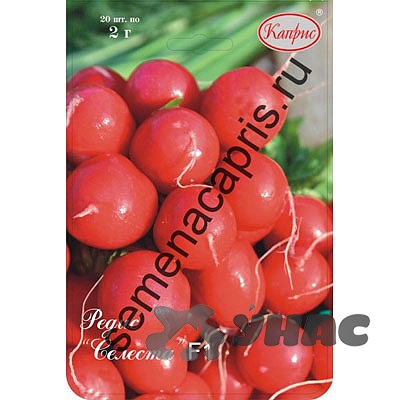 Редис Селеста (Нидерланды) Каприс