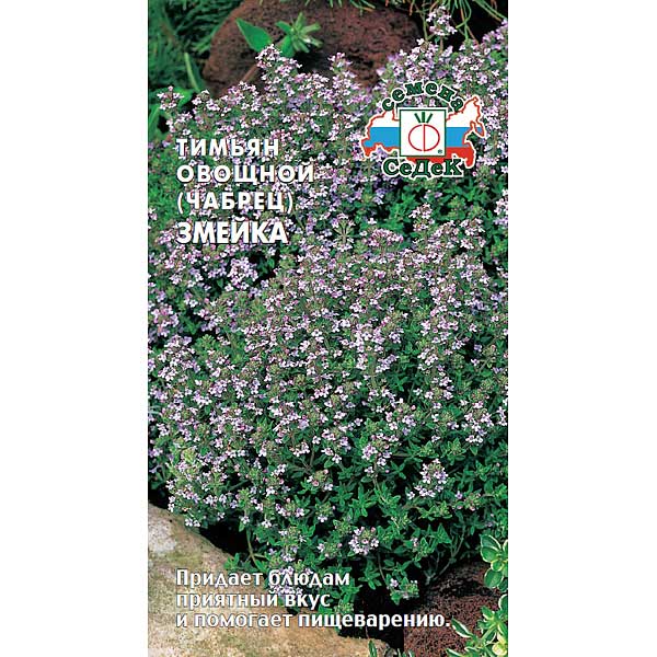 Тимьян Змейка Седек Ц