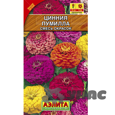 Циния Пумилла Аэлита Цх10 