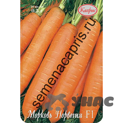 Морковь Норвегия (Нидерланды) Каприс