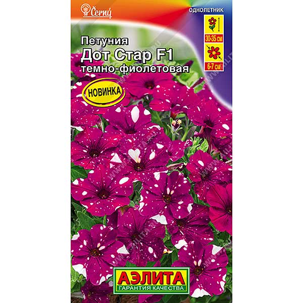 Петуния Дот Стар темно-фиолетовая Аэлита Ц 