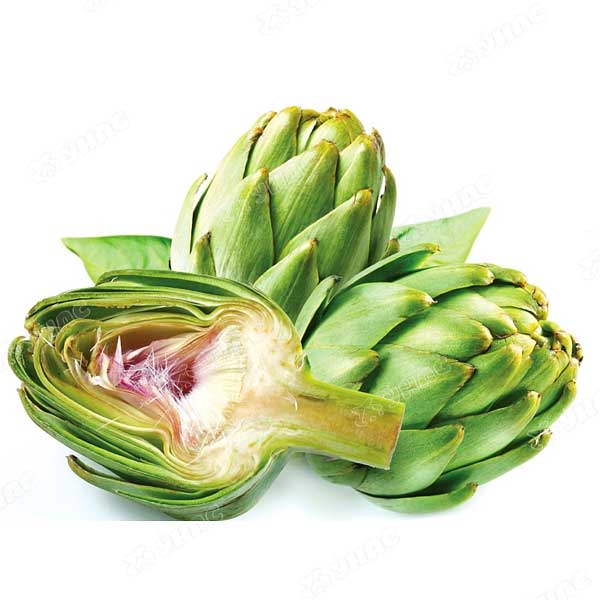 Артишок Султан Поиск Ц