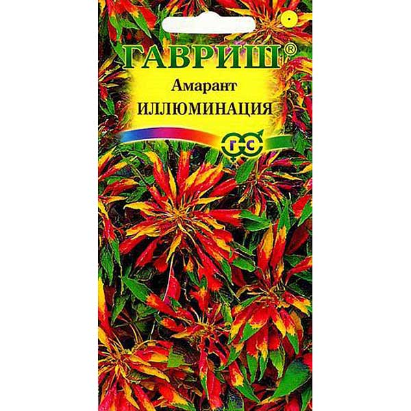 Амарант Иллюминация Гавриш Ц 