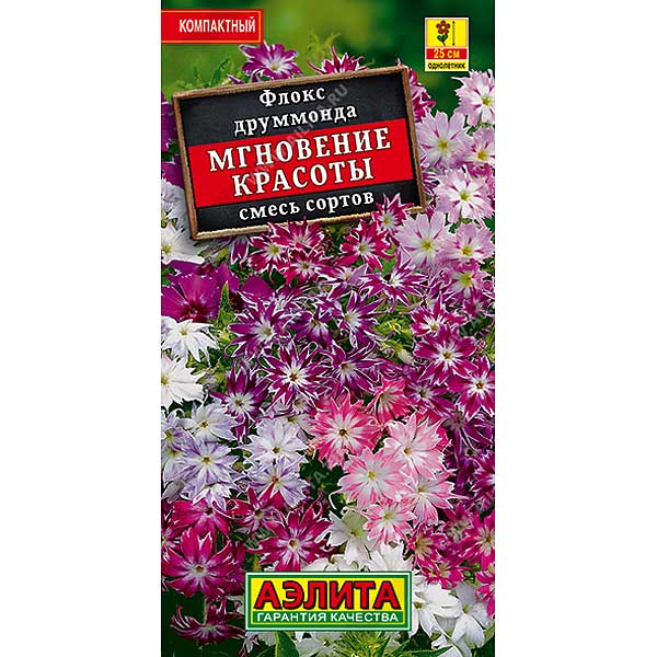 Флокс Мгновение красоты смесь Аэлита Ц 
