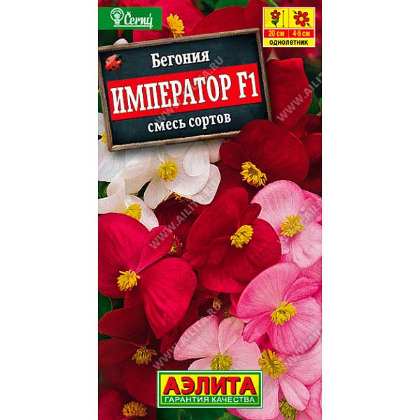 Бегония Император вечноцв. смесь  Аэлита Ц 