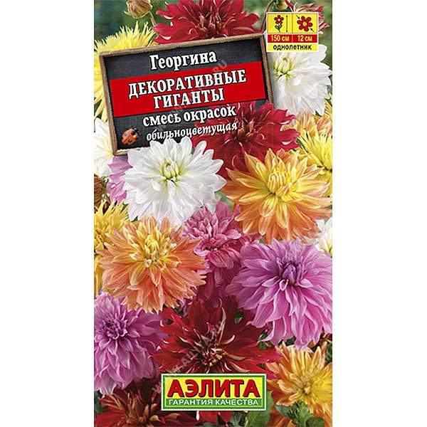Георгин Декоративные гиганты смесь Аэлита Ц 