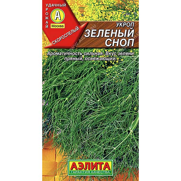 Укроп Зеленый сноп Аэлита Ц
