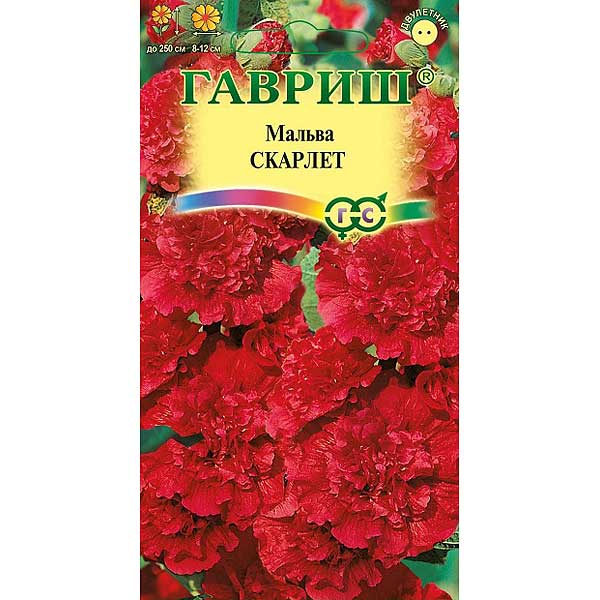 Мальва Скарлет  Гавриш Ц 