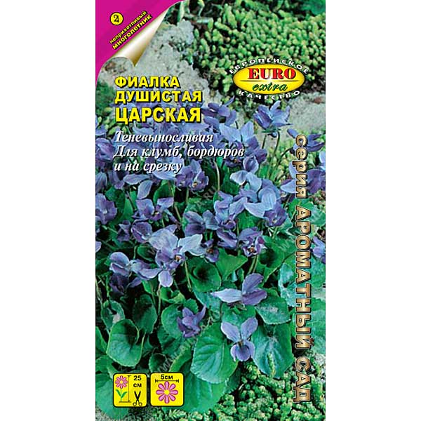 Фиалка Царская душистая Аэлита Ц 