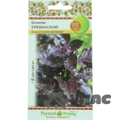 Базилик Ереванский НК Ц