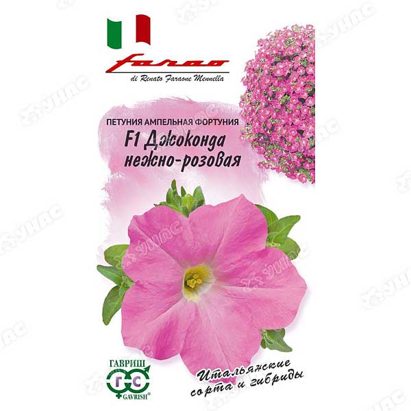 Петуния Джоконда нежно-розовая (Фортуния) Гавриш Ц 