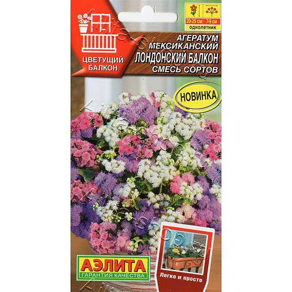 Агератум Лондонский балкон Аэлита 