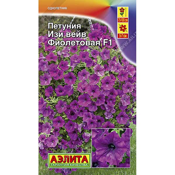 Петуния Изи вейв фиолетовая Аэлита Ц 