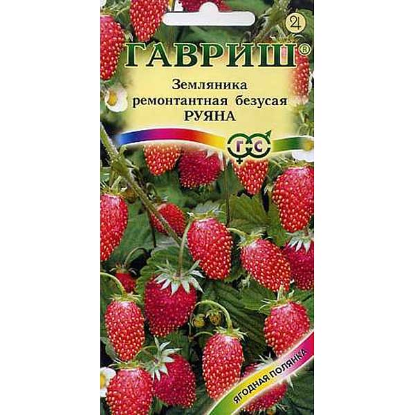 Земляника Руяна безусая Гавриш Ц