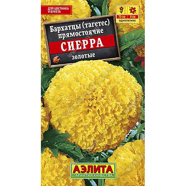 Бархатцы Сиерра золотые Аэлита Ц 