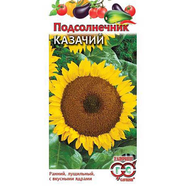 Подсолнечник Казачий Гавриш Ц 
