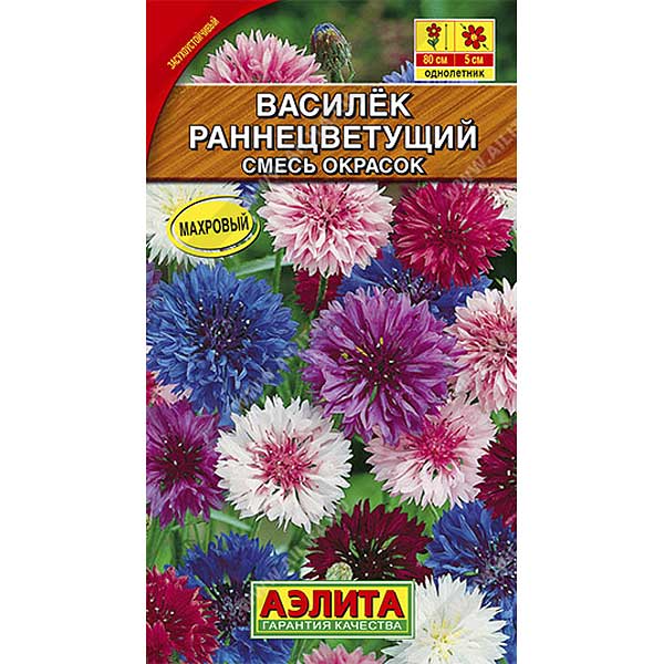 Василек Раннецветущий махр. см. Аэлита Ц 