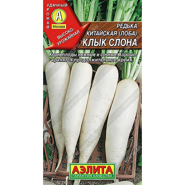 Дайкон Клык Слона (редька) Аэлита Ц