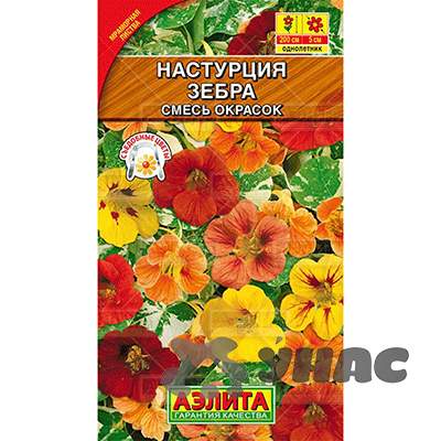 Настурция Зебра Аэлита Ц 