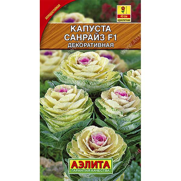 Капуста декор. Санрайз Аэлита Ц 