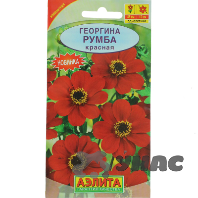 Георгин Румба красная Аэлита Ц 