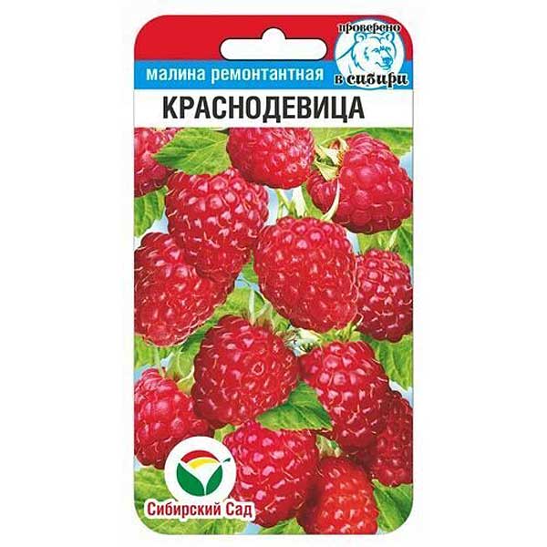 Малина Краснодевица СибСад Ц