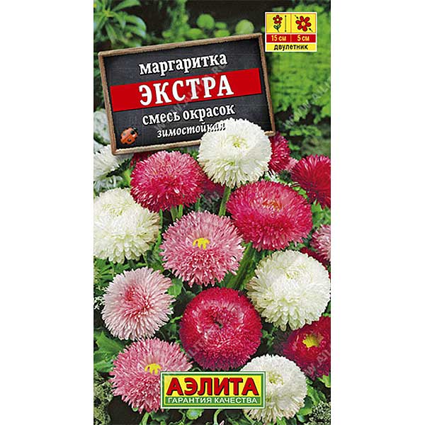 Маргаритка Экстра Аэлита Ц 