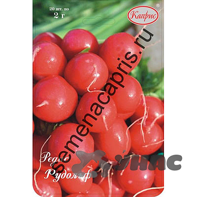 Редис Рудольф (Нидерланды) Каприс