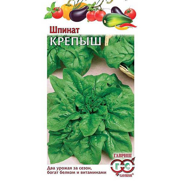 Шпинат Крепыш  Гавриш Ц