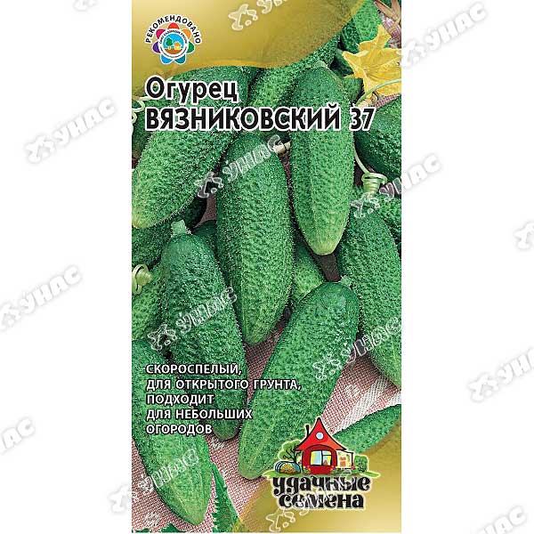 Огурец Бригадир Гавриш Ц