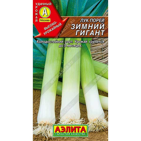 Лук порей Зимний гигант Аэлита Ц