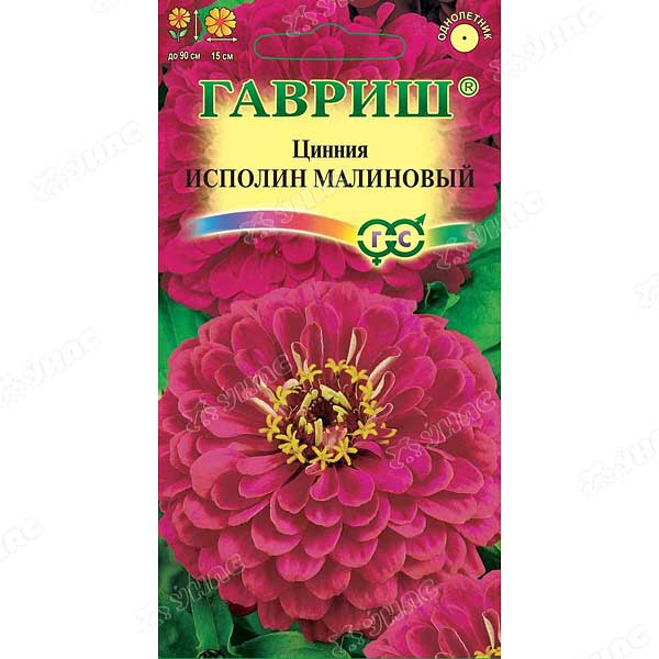 Циния Исполин малиновый Гавриш Ц 