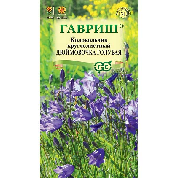 Колокольчик Дюймовочка голубая Гавриш Ц 