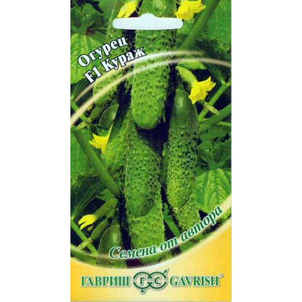 Огурец Кураж Гавриш Ц – купить семена от производителя