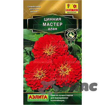 Циния Мастер алая Аэлита Ц х10 