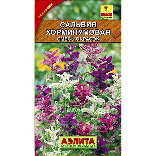Сальвия Хорминумовая Аэлита Ц 