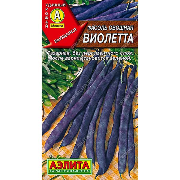 Фасоль  Виолетта  Аэлита Ц