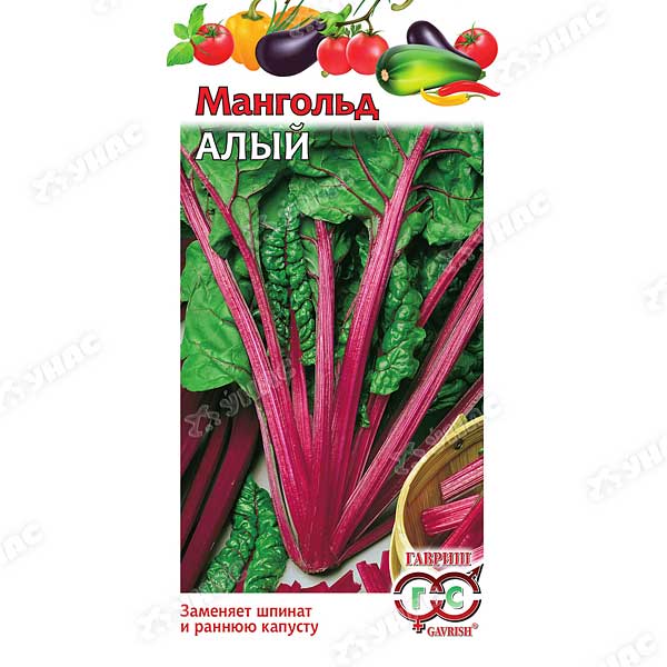 Мангольд Алый Гавриш Ц